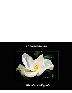 Book printed for Michael Angelo